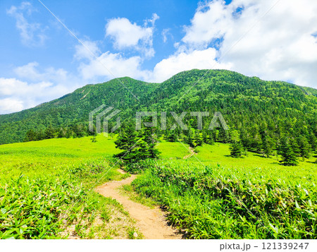 夏の四阿山・根子岳登山(根子岳~四阿山) 夏の四阿山・根子岳登山(根子岳~四阿山) 121339247