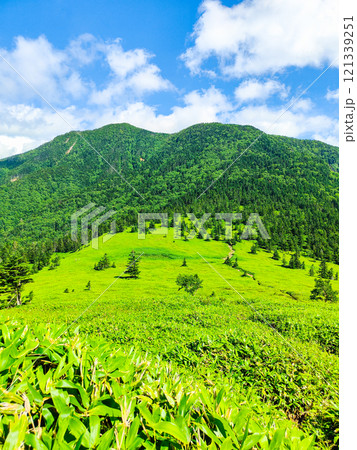 夏の四阿山・根子岳登山(根子岳~四阿山) 夏の四阿山・根子岳登山(根子岳~四阿山) 121339251