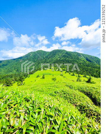 夏の四阿山・根子岳登山(根子岳~四阿山) 夏の四阿山・根子岳登山(根子岳~四阿山) 121339252