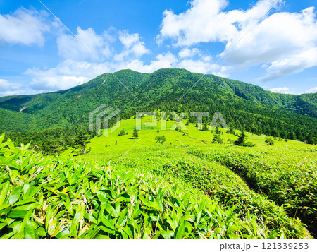 夏の四阿山・根子岳登山（根子岳～四阿山） 121339253