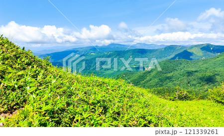 夏の四阿山・根子岳登山（四阿山～根子岳：志賀草津方面の眺め） 121339261