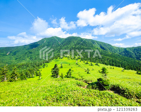 夏の四阿山・根子岳登山(根子岳~四阿山) 夏の四阿山・根子岳登山(根子岳~四阿山) 121339263