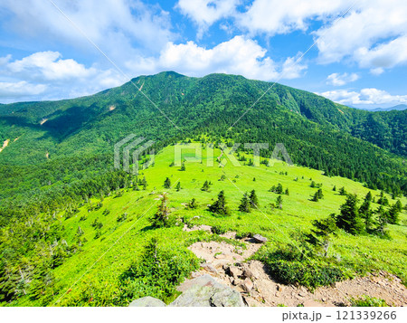 夏の四阿山・根子岳登山（根子岳～四阿山） 121339266