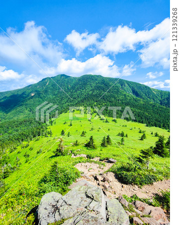 夏の四阿山・根子岳登山（根子岳～四阿山） 121339268