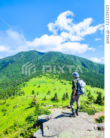 夏の四阿山・根子岳登山(根子岳~四阿山:四阿山山頂を望む) 夏の四阿山・根子岳登山(根子岳~四阿山:四阿山山頂を望む) 121339325