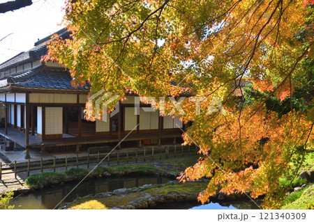 南関御茶屋跡の紅葉 121340309