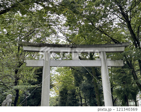緑の自然に囲まれた神社の鳥居 緑の自然に囲まれた神社の鳥居 121340369