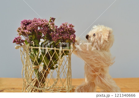 フジバカマのドライフラワーのアレンジメントとテディベア　　　　　　　　　　　　　 121340666