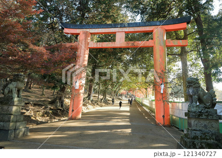 奈良　国宝華厳宗大本山東大寺　手向山八幡宮の鳥居 121340727