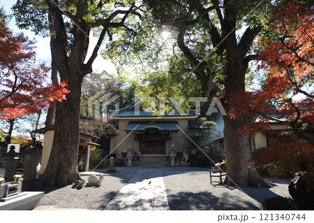 常光寺(神奈川県藤沢市本町4丁目) 常光寺(神奈川県藤沢市本町4丁目) 121340744