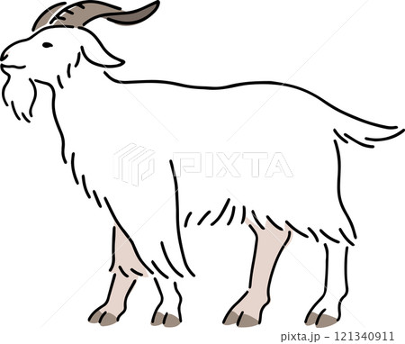 手描きのヤギのイラスト 手描きのヤギのイラスト 121340911