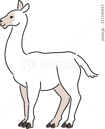 手描きのリャマのイラスト 121340917