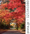 赤く染まったもみじの参道 121341080