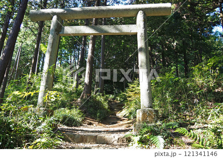 八王子城 要害地区の山道【東京都八王子市】 八王子城 要害地区の山道【東京都八王子市】 121341146
