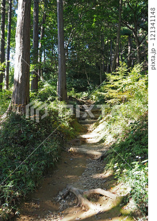 八王子城 要害地区の山道【東京都八王子市】 八王子城 要害地区の山道【東京都八王子市】 121341148