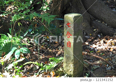 八王子城　要害地区の山道【東京都八王子市】 121341152