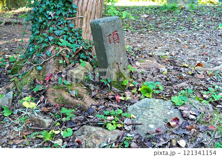 八王子城 要害地区の山道【東京都八王子市】 八王子城 要害地区の山道【東京都八王子市】 121341154