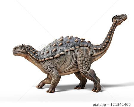ankylosaur standing on a white background, ankylosaur standing on a white background, 121341466