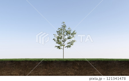 tree on the grass and a slice of soil under it, 3d render tree on the grass and a slice of soil under it, 3d render 121341478
