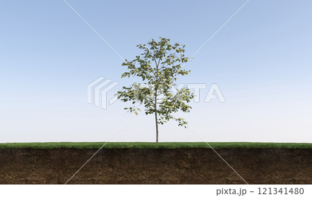 tree on the grass and a slice of soil under it, 3d render 121341480