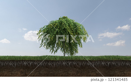 tree on the grass and a slice of soil under it, 3d render tree on the grass and a slice of soil under it, 3d render 121341485