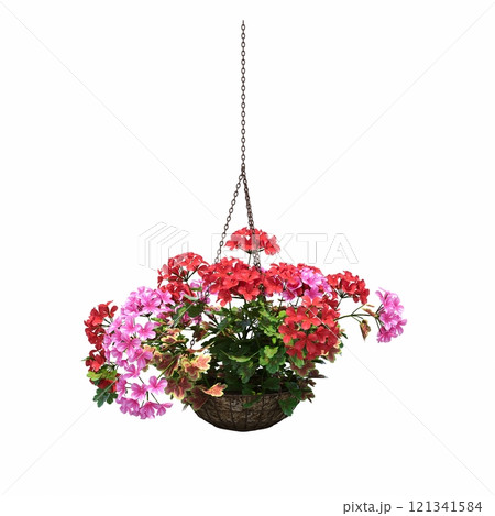 decorative flower in a pot isolated on white background, 3D illustration, cg render decorative flower in a pot isolated on white background, 3D illustration, cg render 121341584