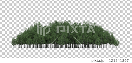 group of trees isolated on a transparent background, forest, sketch, outline illustration, cg render group of trees isolated on a transparent background, forest, sketch, outline illustration, cg render 121341897