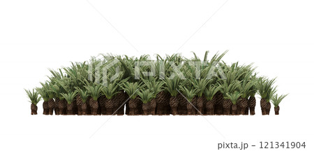 group of trees isolated on a transparent background, forest, sketch, outline illustration, cg render group of trees isolated on a transparent background, forest, sketch, outline illustration, cg render 121341904