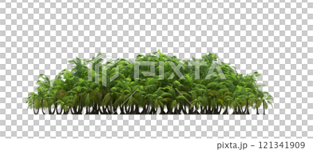 group of trees isolated on a transparent background, forest, sketch, outline illustration, cg render 121341909