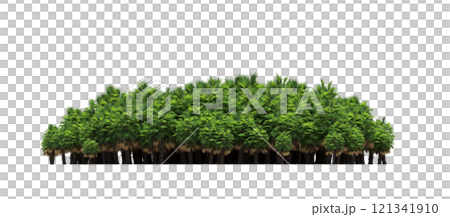 group of trees isolated on a transparent background, forest, sketch, outline illustration, cg render 121341910