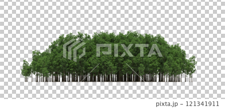 group of trees isolated on a transparent background, forest, sketch, outline illustration, cg render group of trees isolated on a transparent background, forest, sketch, outline illustration, cg render 121341911