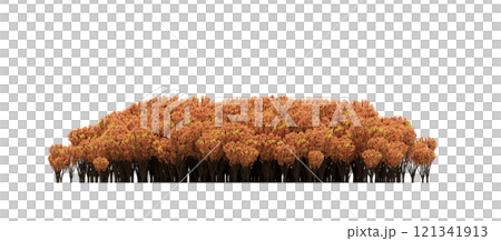 group of trees isolated on a transparent background, forest, sketch, outline illustration, cg render 121341913