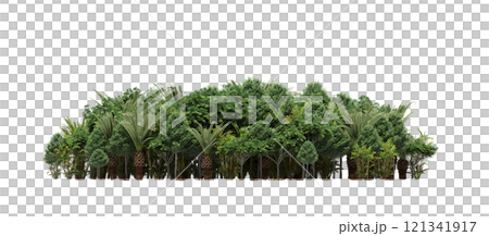 group of trees isolated on a transparent background, forest, sketch, outline illustration, cg render group of trees isolated on a transparent background, forest, sketch, outline illustration, cg render 121341917
