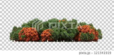 group of trees isolated on a transparent background, forest, sketch, outline illustration, cg render 121341919