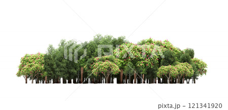 group of trees isolated on a transparent background, forest, sketch, outline illustration, cg render group of trees isolated on a transparent background, forest, sketch, outline illustration, cg render 121341920