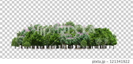 group of trees isolated on a transparent background, forest, sketch, outline illustration, cg render group of trees isolated on a transparent background, forest, sketch, outline illustration, cg render 121341922