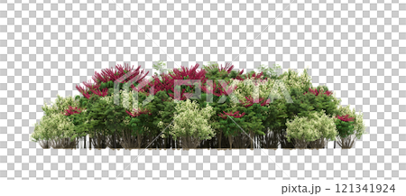 group of trees isolated on a transparent background, forest, sketch, outline illustration, cg render 121341924