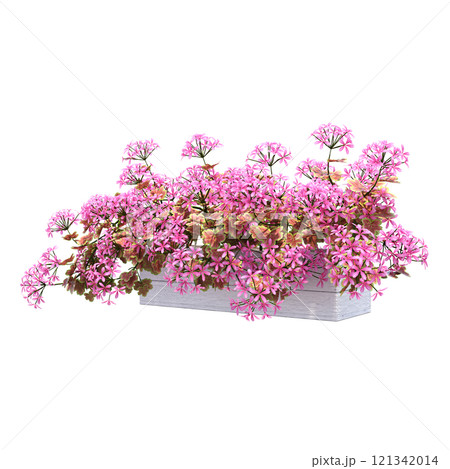 decorative flower in a pot isolate on a transparent background, 3D illustration, cg render 121342014