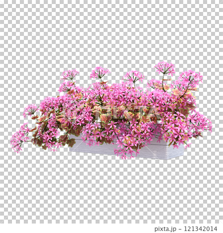 decorative flower in a pot isolate on a transparent background, 3D illustration, cg render decorative flower in a pot isolate on a transparent background, 3D illustration, cg render 121342014