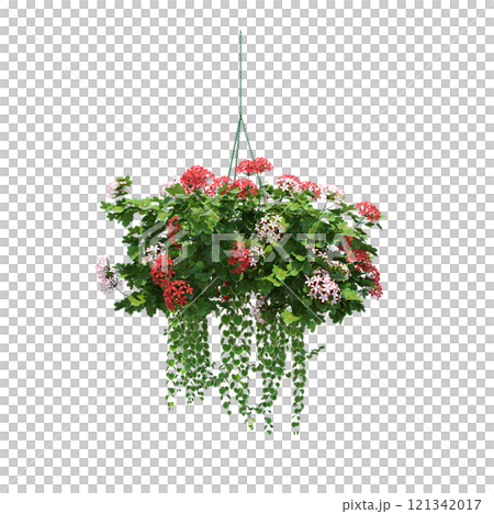 decorative flower in a pot isolate on a transparent background, 3D illustration, cg render 121342017