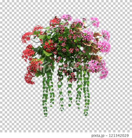 decorative flower in a pot isolate on a transparent background, 3D illustration, cg render decorative flower in a pot isolate on a transparent background, 3D illustration, cg render 121342029