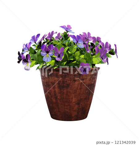 decorative flower in a pot isolate on a transparent background, 3D illustration, cg render 121342039