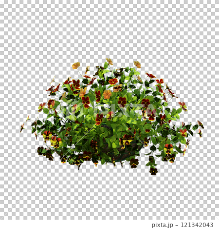 decorative flower in a pot isolate on a transparent background, 3D illustration, cg render decorative flower in a pot isolate on a transparent background, 3D illustration, cg render 121342043