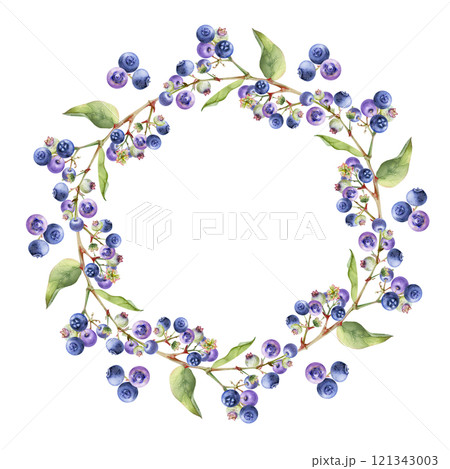 Blueberry blackberry cluster with green leaves on branch, hand drawn in watercolor, ripe forest berry. Isolated wreath frame botanical illustration for restaurant, cafe menu, wedding, farmers market. 121343003