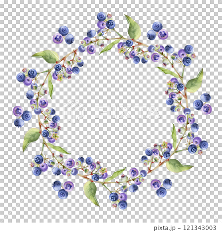 Blueberry blackberry cluster with green leaves on branch, hand drawn in watercolor, ripe forest berry. Isolated wreath frame botanical illustration for restaurant, cafe menu, wedding, farmers market. 121343003