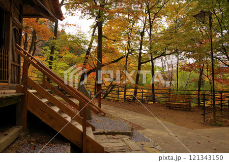 鹿教湯温泉の紅葉 121343150