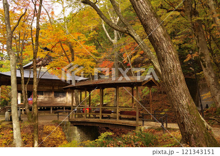 鹿教湯温泉の紅葉 121343151