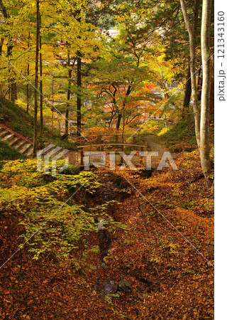 鹿教湯温泉の紅葉 121343160