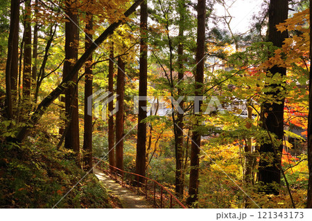 鹿教湯温泉の紅葉 121343173