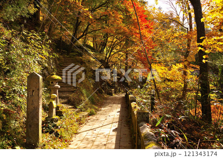 鹿教湯温泉の紅葉 121343174